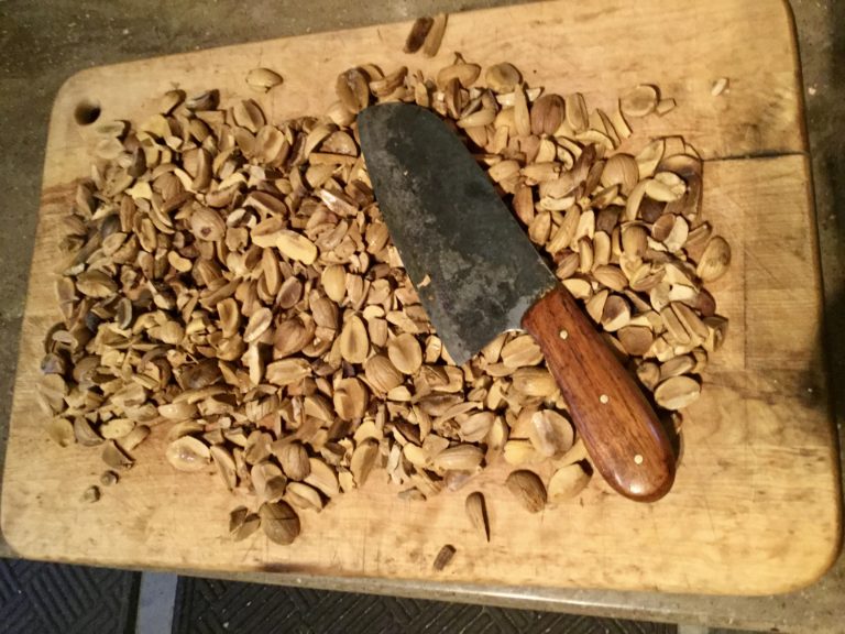 Acorn Recipes Acorns Are Delicious & Nutritious!